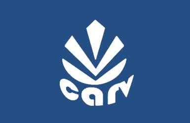 Carv